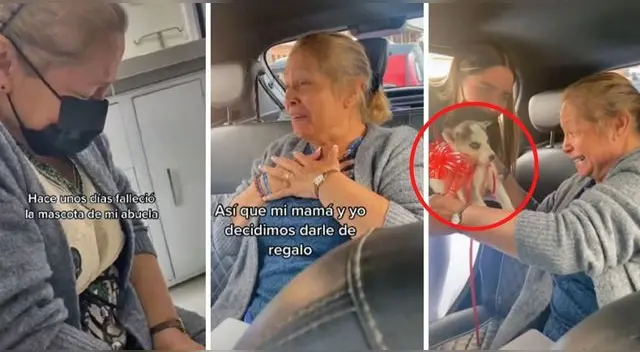 El video en la red social generó miles de reproducciones y comentarios felices por la abuelita. El video en la red social generó miles de reproducciones y comentarios felices por la abuelita.