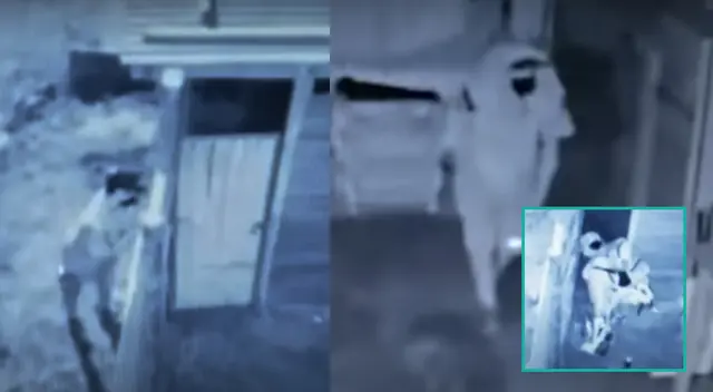 Cámaras de seguridad captan el robo a una vivienda en San Juan de Miraflores. Cámaras de seguridad captan el robo a una vivienda en San Juan de Miraflores.