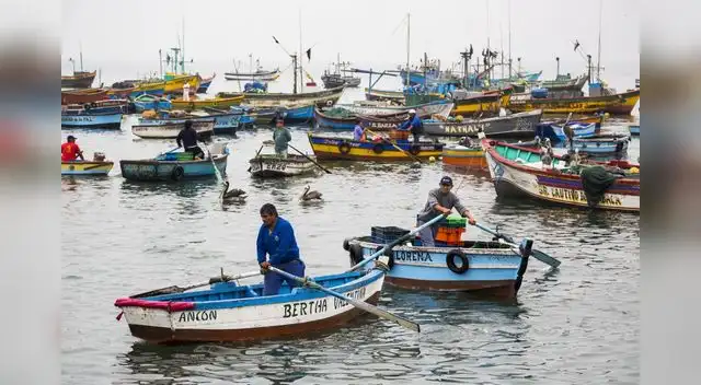 Pescadores artesanales del sur rechazan paro indefinido.