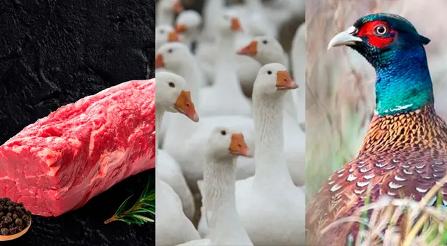 Conoce el precio del lomo fino, ganso y faisán en el Perú. Conoce el precio del lomo fino, ganso y faisán en el Perú.