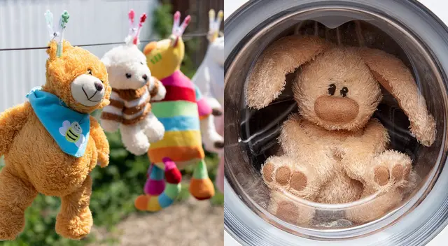 Es importante lavar los peluches ya que son un foco de gérmenes. Es importante lavar los peluches ya que son un foco de gérmenes.