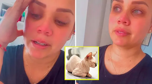 Andrea San Martín preocupada por su mascota.