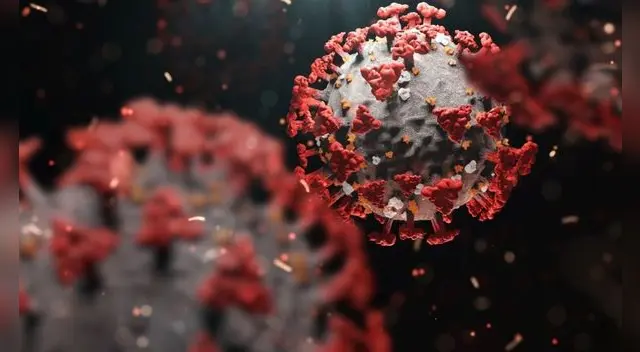 Aprende a conocer cuáles son los síntomas de la variante XE del COVID-19.