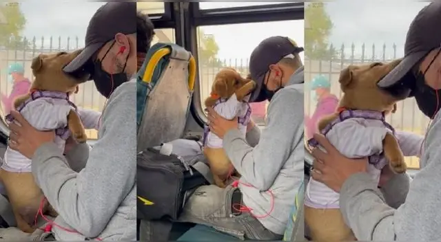 El video ha conmovido los corazones de los usuarios en TikTok logrando más de 100 mil reproducciones. El video ha conmovido los corazones de los usuarios en TikTok logrando más de 100 mil reproducciones.