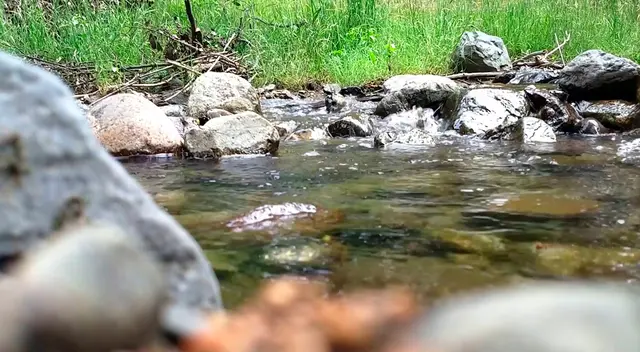 Los pequeños estaba jugando cerca al caudaloso arroyo en Argentina.
