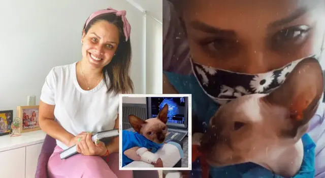 Andrea san Martín emocionada con la recuperación de su gato.