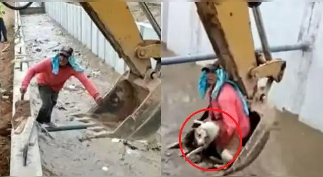 El protagonista del video viral recibió cientos de halagos por su noble acción con la perrita.