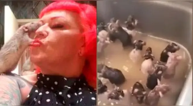 El video se ha vuelto tendencia en TikTok El video se ha vuelto tendencia en TikTok