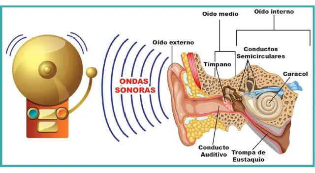 El sonido es producido por ondas en el aire. El sonido es producido por ondas en el aire.