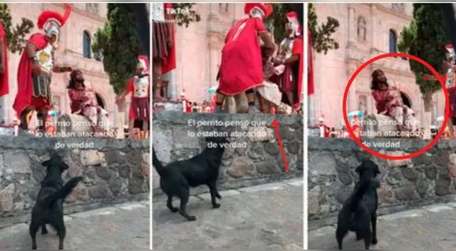 El video viral tiene más de 10.000 reproducciones enternecidos por la escena del perrito.