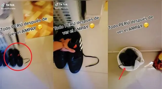 El video viral ha llamado la atención de miles de usuarios en TikTok por su singular acción.