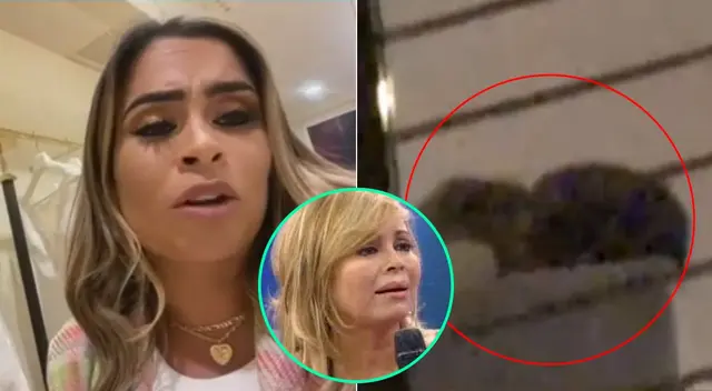 Ethel Pozo se fue con todo al criticar a Aldo Miyashiro.