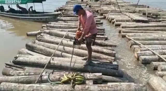 La Fiscalía Especializada en Materia Ambiental inició investigación por el presunto delito de tráfico ilegal de productos forestales.