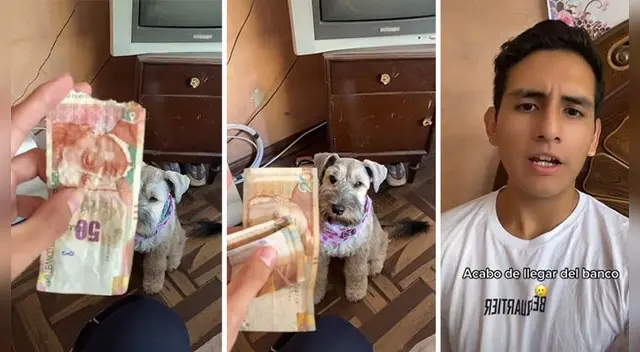 El video se hizo viral luego de que el joven publicara la tremenda travesura que hizo su mascota.