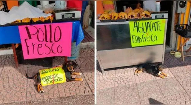 La fotografía se volvió viral generando debate entre los usuarios en la red social.