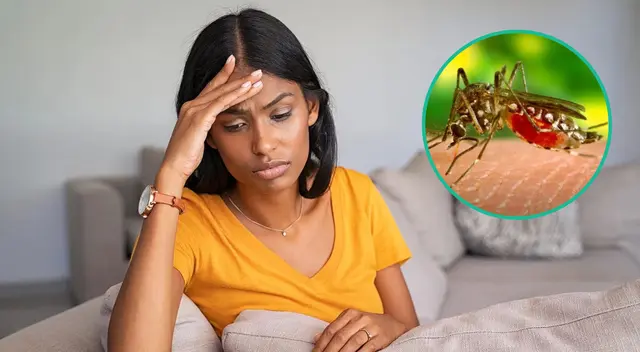 Los síntomas aparecen después de los 10 días de haberse producido la picadura.