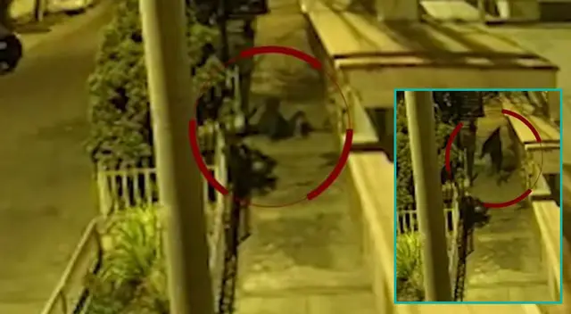 Hampón huye con televisor roto tras saltar del segundo piso de una vivienda. Hampón huye con televisor roto tras saltar del segundo piso de una vivienda.