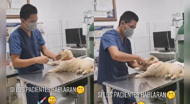El pequeño animalito causó sensación en la red social por su 'travesura' con el doctor. Foto: Composición/Captura de pantalla