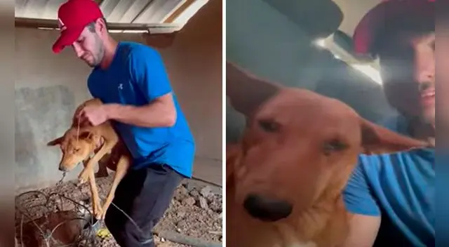 El video ha conmovido a cientos de usuarios en redes sociales, por lo que le desearon lo mejor a ambos.