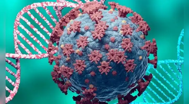 Conoce un poco más sobre la variante Ómicron y XE del COVID-19.
