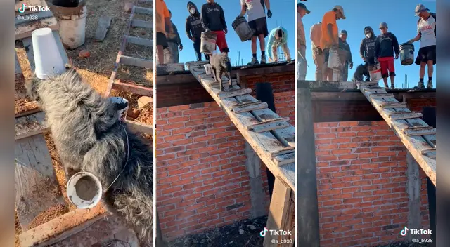 El video ha generado más de 900.000 reproducciones y cientos de comentarios en la plataforma.