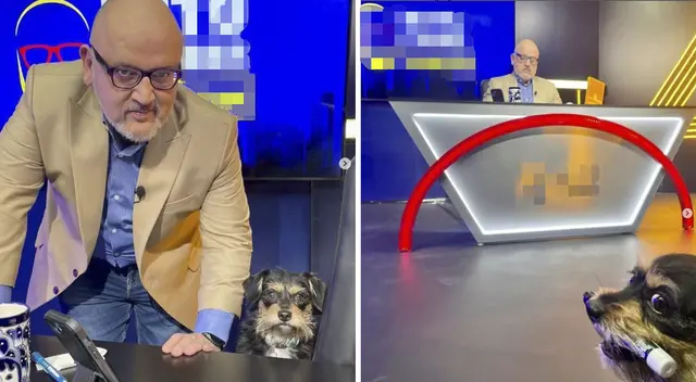 Beto Ortiz presenta a Miss Bonnie a sus seguidores. Beto Ortiz presenta a Miss Bonnie a sus seguidores.