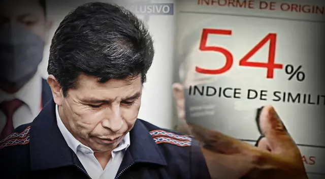 Según se pudo verificar en el software anti plagio, el 54 % de lo redactado por el jefe de Estado tiene coincidencia con otros autores.