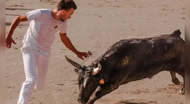 Conoce qué significa soñar con toros.