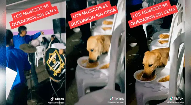 La singular escena causó revuelo en a plataforma de videos y es que el perrito fue el más vivo. Foto: captura de TikTok La singular escena causó revuelo en a plataforma de videos y es que el perrito fue el más vivo. Foto: captura de TikTok