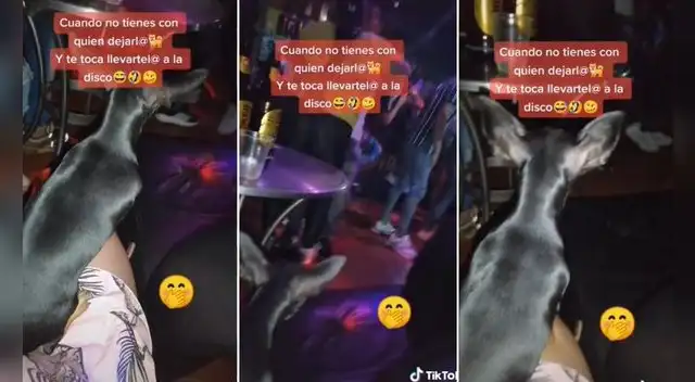 La singular escena ha causado revuelo en la plataforma logrando más de medio millón de vistas.