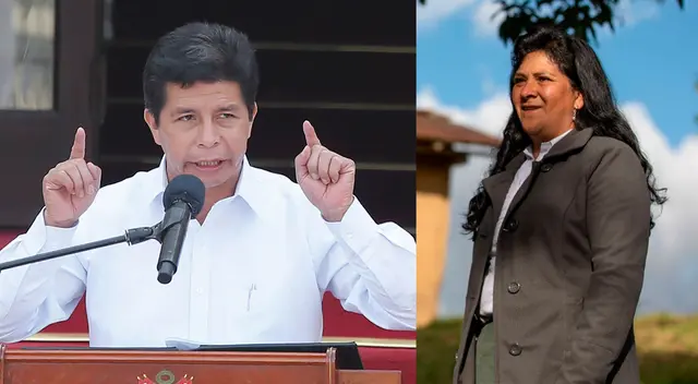 Mandatario y Lilia Paredes son denunciados por plagiar su tesis de maestría en un 54%.