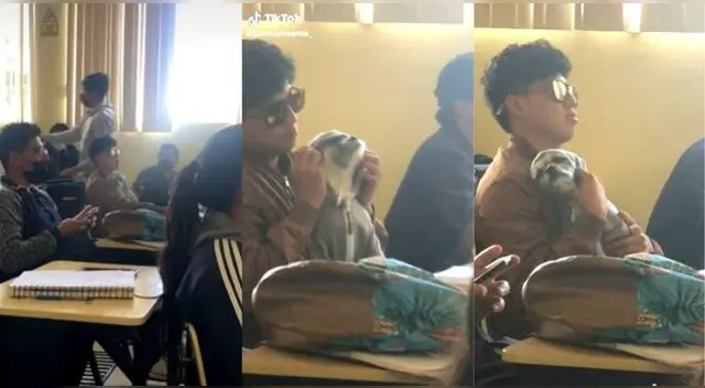 La singular escena ha causado furor en la plataforma alcanzando más de medio millón de reproducciones.