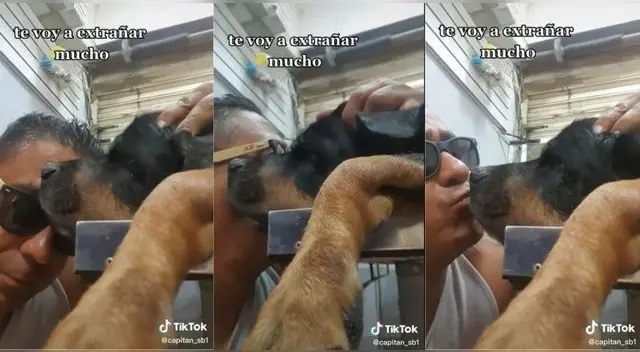 El video ha conmovió y hecho llorar a más de un usuarios en la plataforma alcanzando más de 90 mil reproducciones.