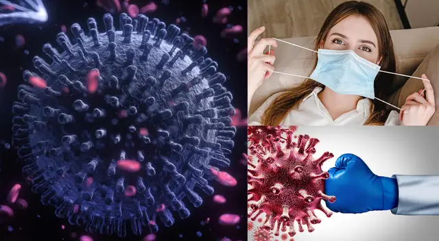 Los linfocitos T eliminan las células infectadas.