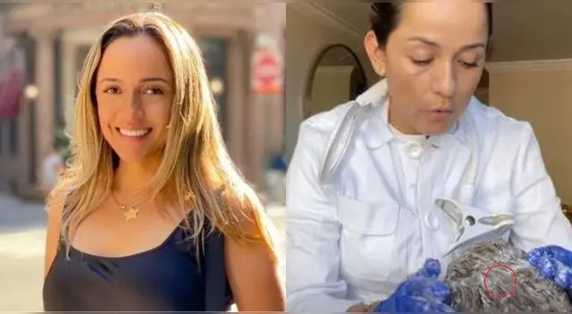 Una mujer emprendedora, natal de Ecuador, saca piojos en Estados Unidos y gana muy bien.