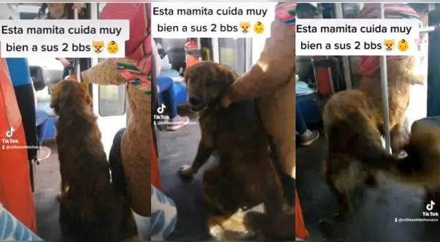 El video se volvió viral en pocos minutos alcanzando más de 10.000 reproducciones y miles de comenatarios.