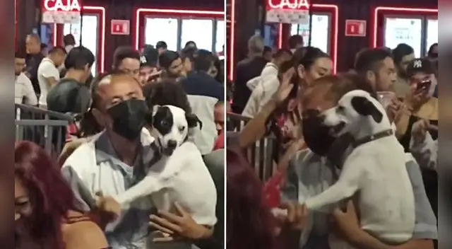 El viral clip logró obtener miles de reproducciones y reacciones en poco tiempo. Foto: captura de TikTok/Composición el Popular