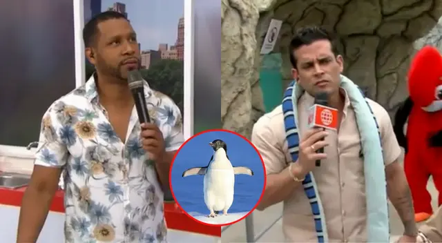 Edson Dávila trolea Christian Domínguez al decirle que no es fiel como los pingüinos.