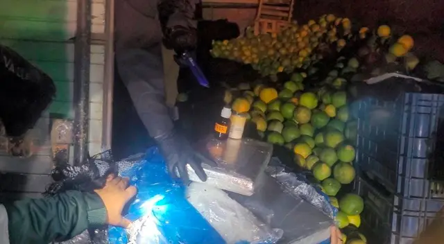 La droga entre naranjas