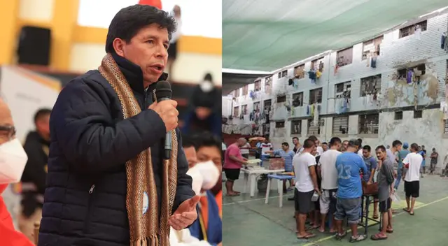 Pedro Castillo anuncia proyecto de ley para que delincuentes trabajen en la cárcel