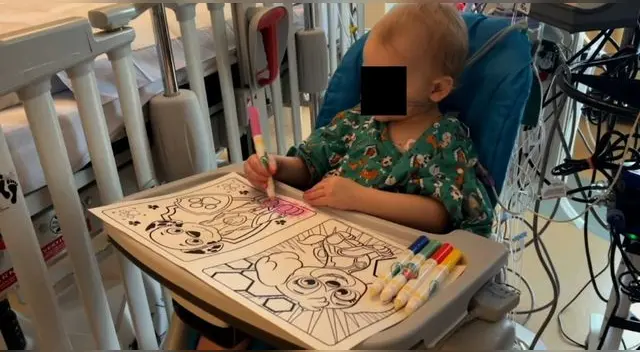 De acuerdo con la Organización Mundial de Salud (OMS) los síntomas son: coloración amarilla de la piel y ojos, dolor abdominal, diarrea o vómitos.