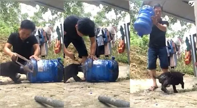 El video ha generado miles de reproducción llegando a alcanzar más de 1 millón y cientos de comentarios.