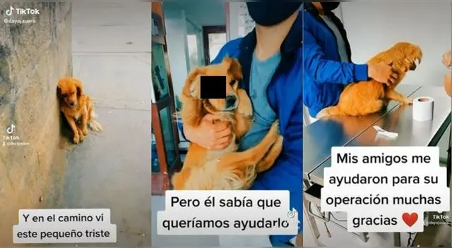 El video ha generado cientos de comentarios y miles de reproducciones haciendo viral la escena. El video ha generado cientos de comentarios y miles de reproducciones haciendo viral la escena.