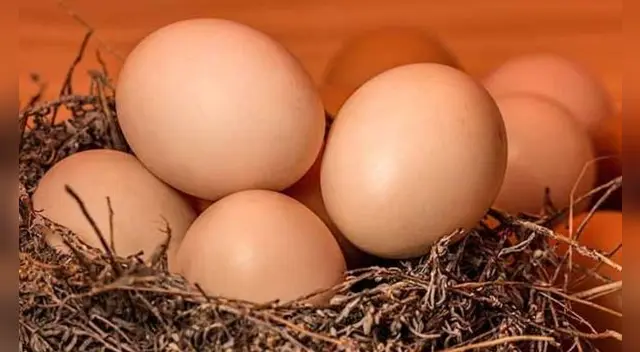 Muchas personas sueñas con el huevo y esto les genera cierta curiosidad.