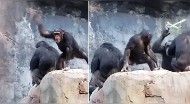 El particular video es un éxito en redes sociales. El particular video es un éxito en redes sociales.