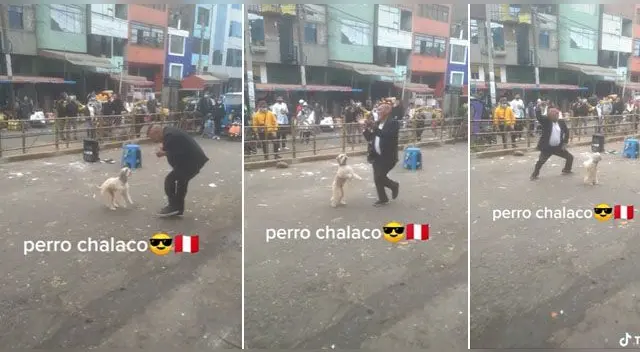 La curiosa escena se ha vuelto viral en las redes sociales. La curiosa escena se ha vuelto viral en las redes sociales.