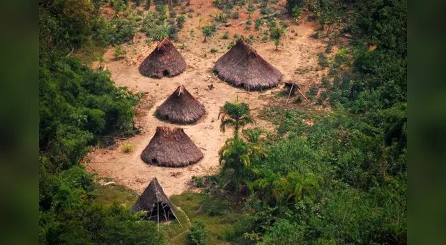 Exigen cambios para fortalecer derechos de pueblos Indígenas aislados