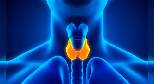 Alteraciones de tiroides aumentaron por la Covid-19.