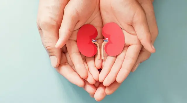 Donación de órganos: Dos a tres peruanos mueren cada día por falta de donantes