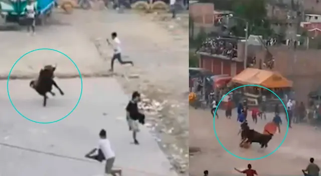 Toro casi mata a varias personas que participaban en evento ayacuchano. Toro casi mata a varias personas que participaban en evento ayacuchano.